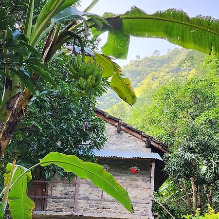Hobo Huts By The Riverside Panuanaula Экстерьер фото