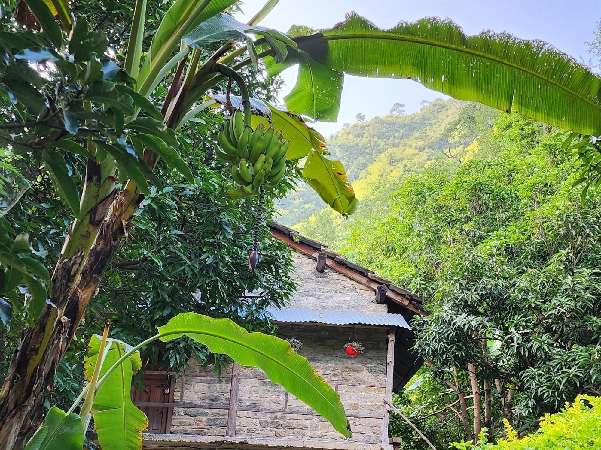 Hobo Huts By The Riverside Panuanaula Экстерьер фото